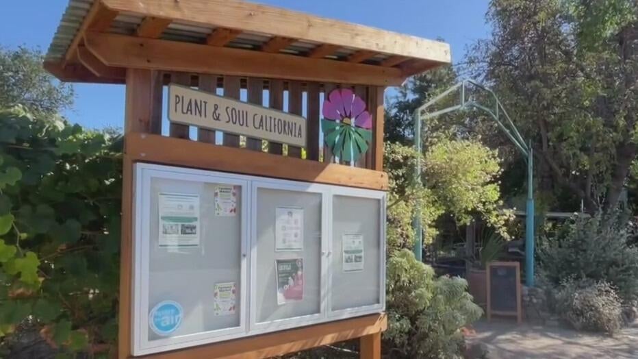 San Jose community garden told to leave as land is sold to developer — CBS Bay Area (KPIX), Munich Real Estate news