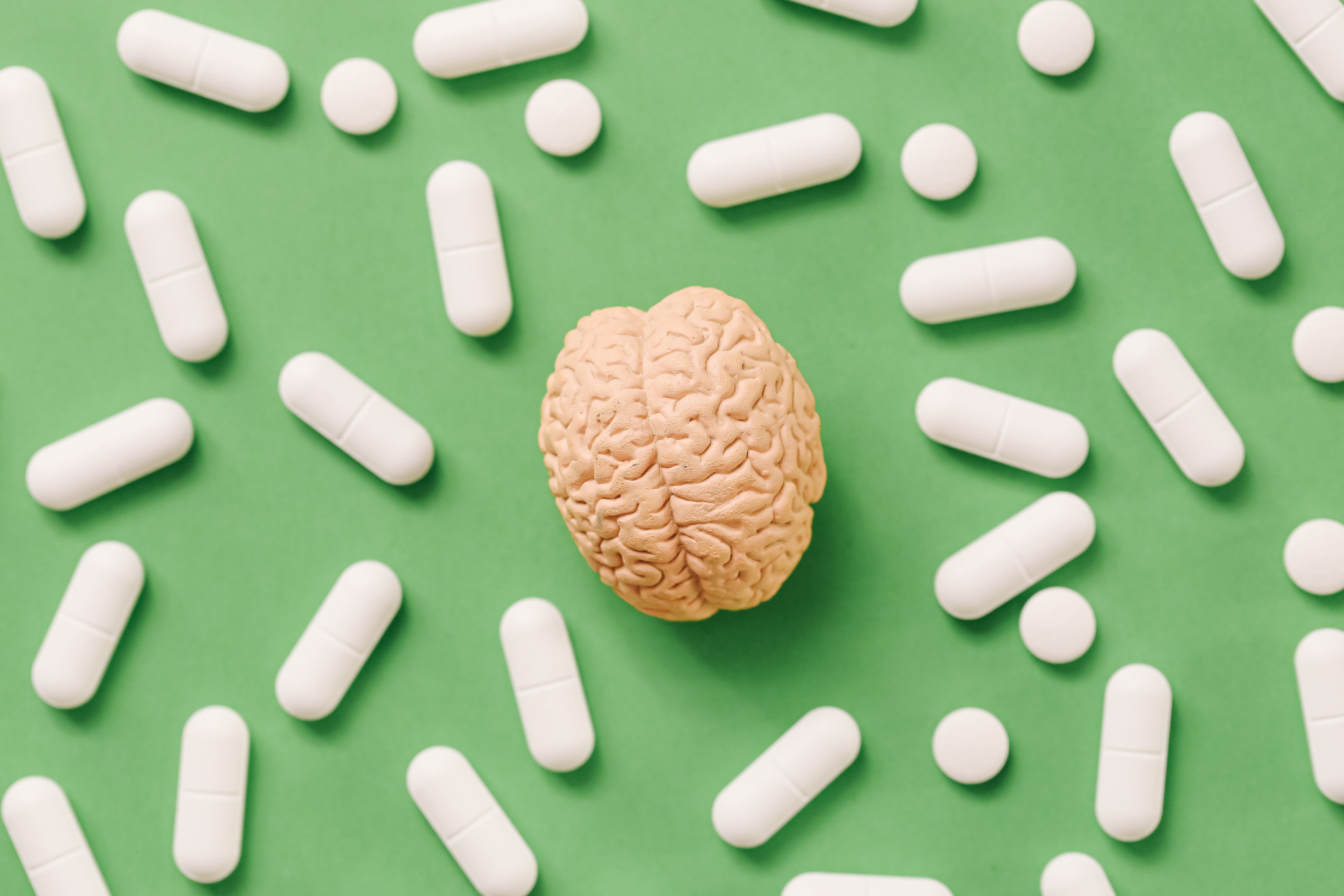 Magnesium May Not Reach Your Brain, Despite Supplement Label Promises — Wired, Munich Schools news