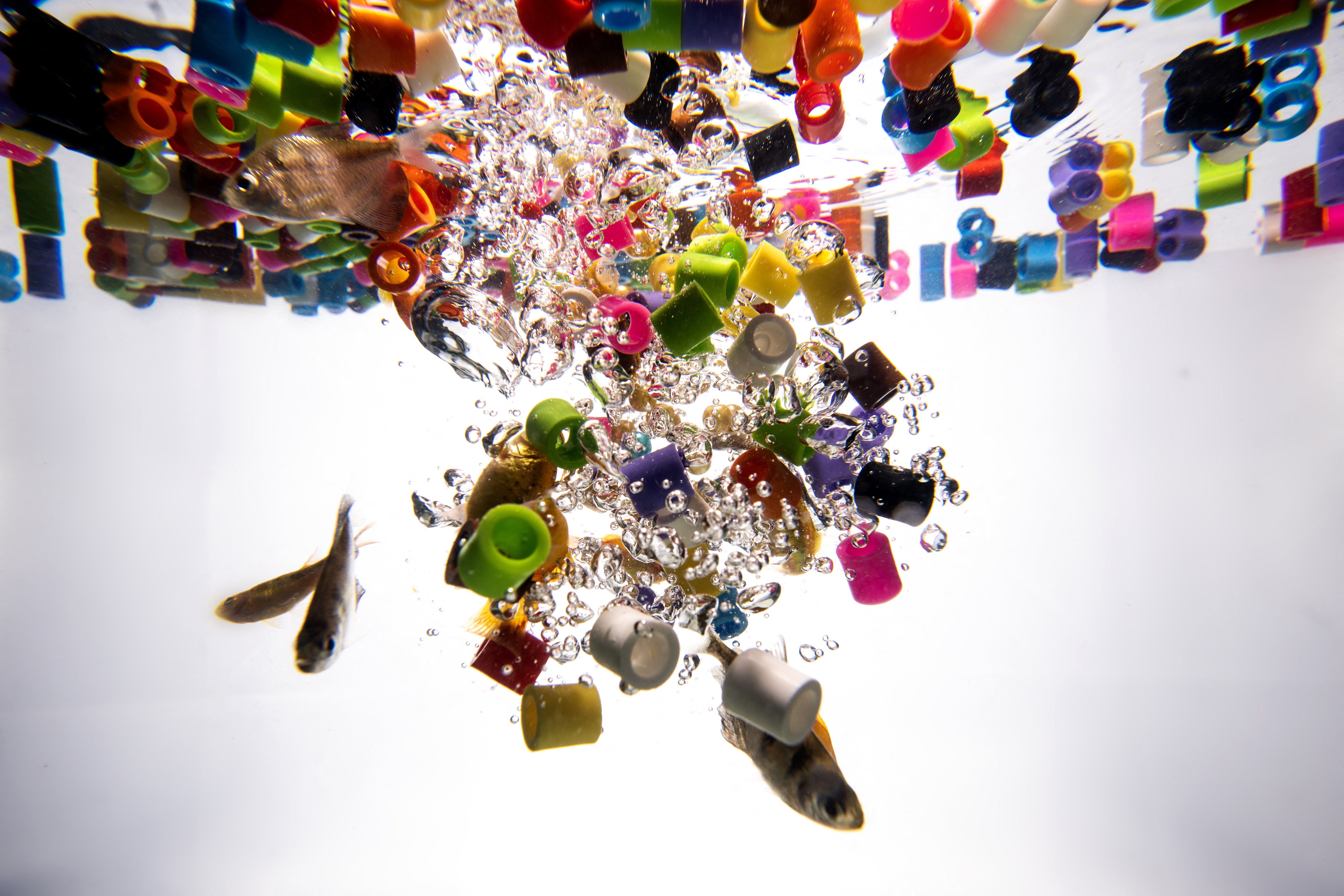 Microplastics React With Water, a New Study Says. That’s a Problem for Biology — Wired, Munich Technology news