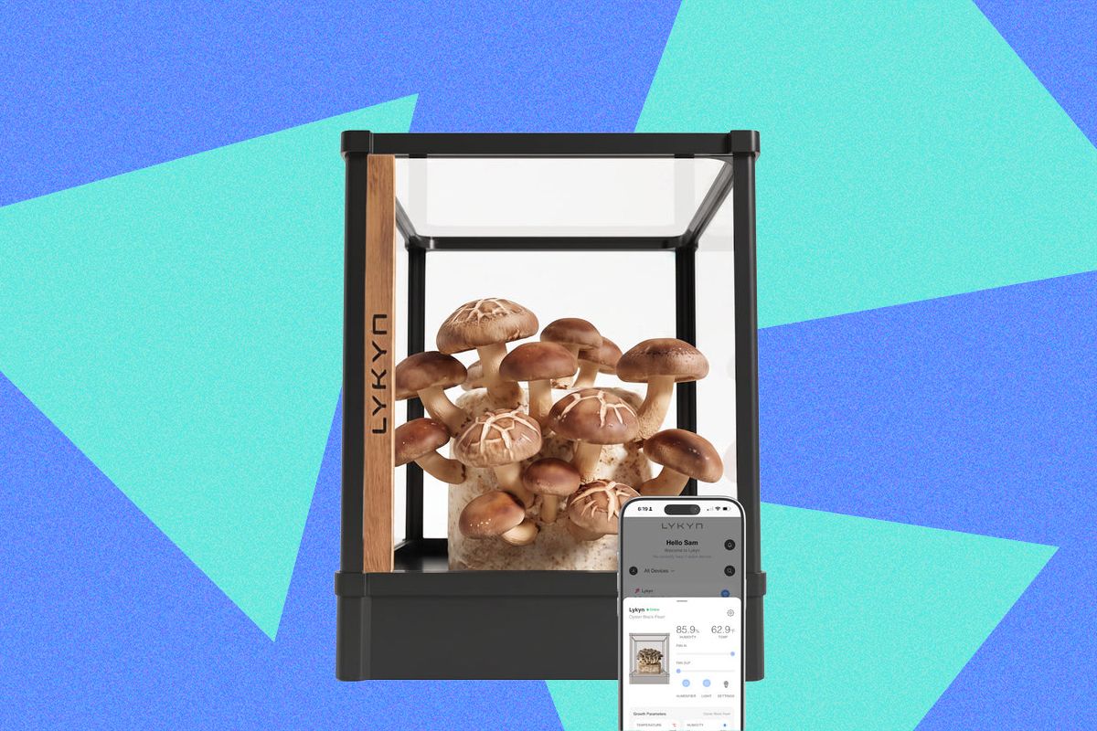 Lykyn Review: A Mushroom Garden Worth Showing Off — Wired